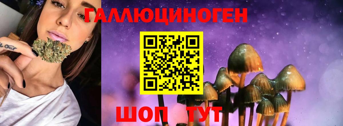 Псилоцибиновые грибы мицелий  Галлюциногенные грибы Psilocybine cubensis  Вход с VPN  Похвистнево 